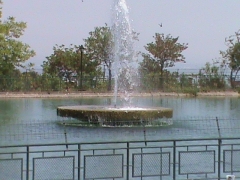 DSC00246.JPG