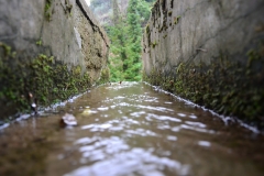 DSC_0210.JPG