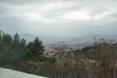 DSC 0061