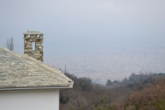 DSC_0202.JPG