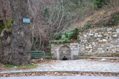 DSC_0205.JPG