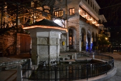DSC_0104.JPG