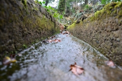 DSC_0208.JPG