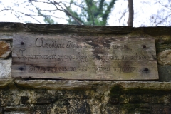 DSC_0207.JPG