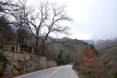 DSC_0204.JPG
