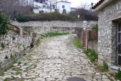 DSC_0219.JPG