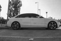 IMG 6967 b&W