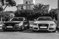 IMG 6986   b&w